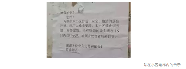 為什么不買(mǎi)保險就不讓養狗？