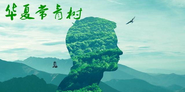 華夏常青樹(shù)哪個(gè)版本比較好？